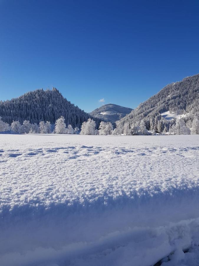 Landhaus Theresia Sankt Martin am Tennengebirge Dış mekan fotoğraf